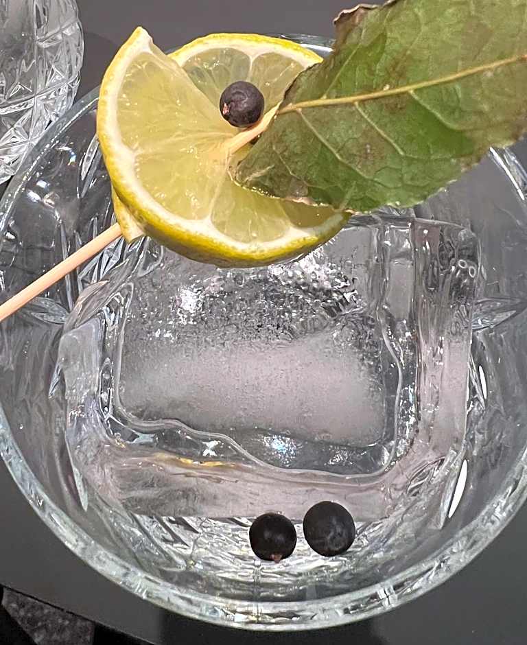 Hotel Lech Da Sompunt