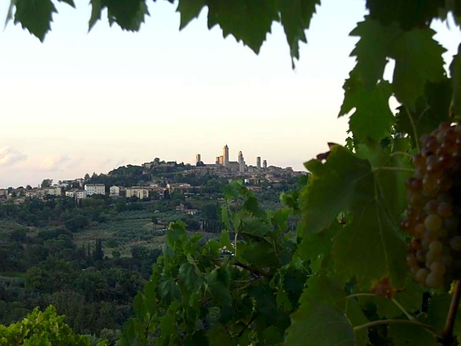 Agriturismo Il Casolare Di Bucciano
