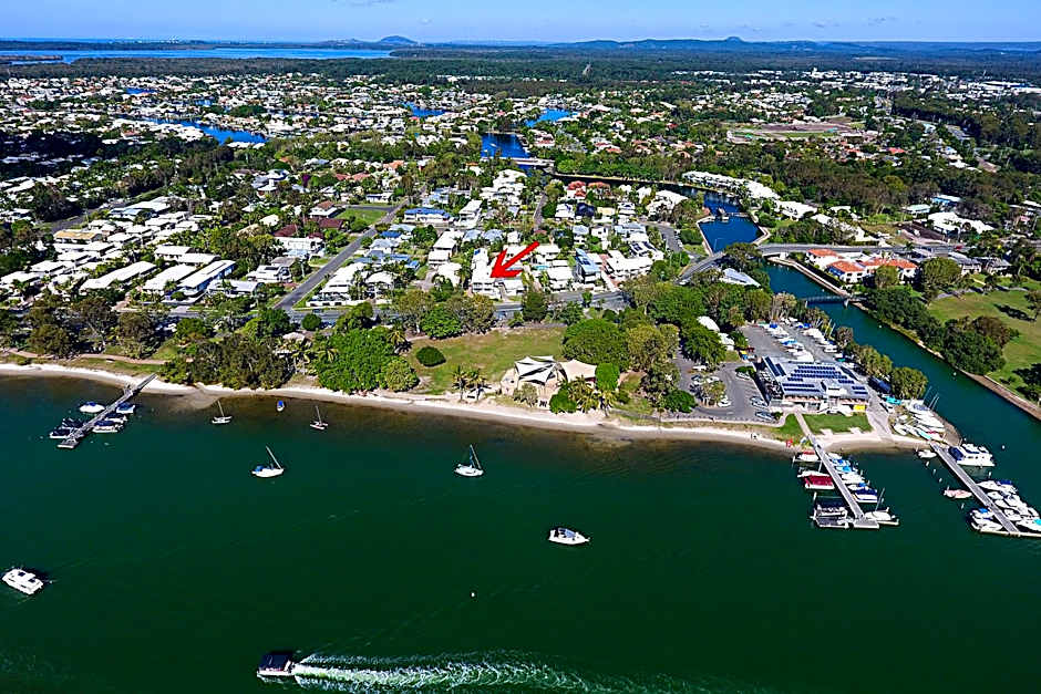 Noosa River Palms