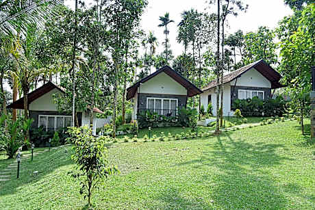 Snow white resort wayanad 