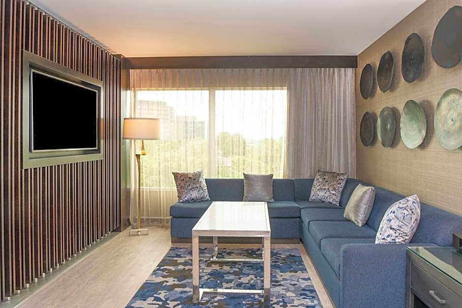 Photo 1 of 9 of Presidential 1 King Bed with Sofabed Suite