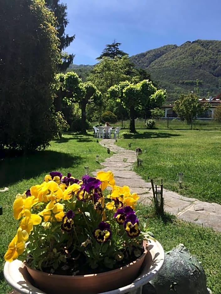 B&B Il tempo del sogno con cani e gatti Pet&Breakfast