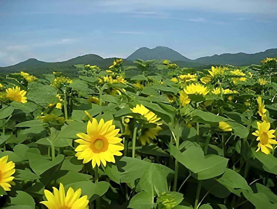 Hotel Romlus Rusutsu