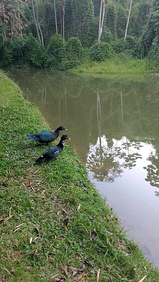 Casa de campo Rosa dos ventos