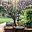 Casa Sedona Inn