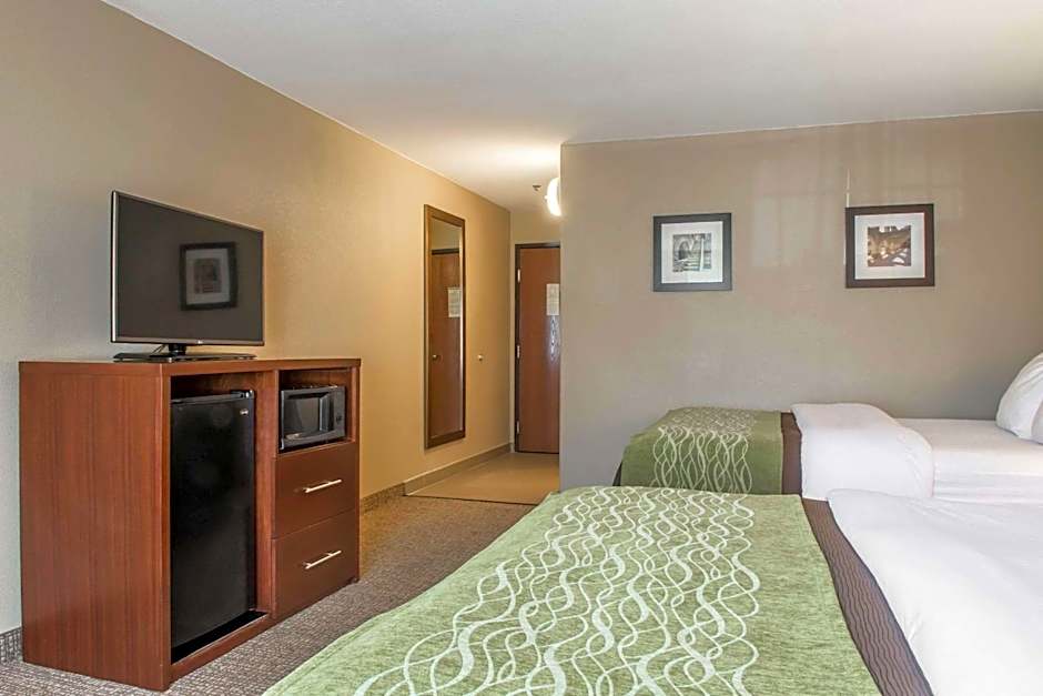 Comfort Inn Edinburg South