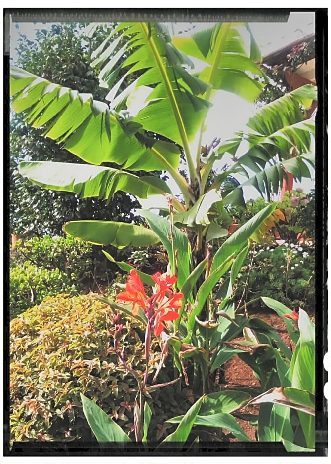 La Chambre de Ker Briac