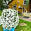 Torgu Royal Guesthouse