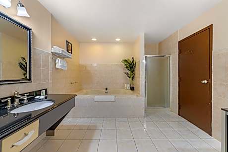 1 King Bed Suite Nonsmoking