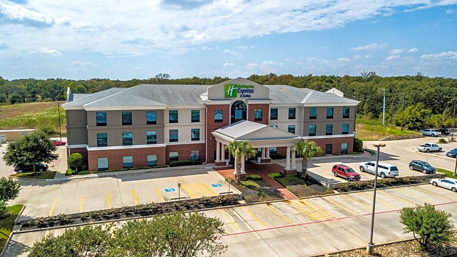 Holiday Inn Express Hotel & Suites Hearne