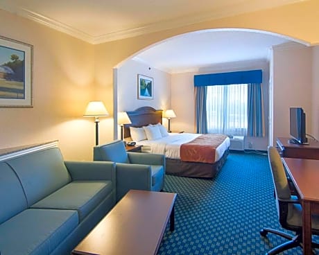 1 Bedroom King Suite