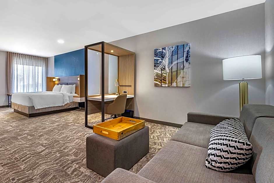 SpringHill Suites by Marriott Anaheim Placentia/Fullerton