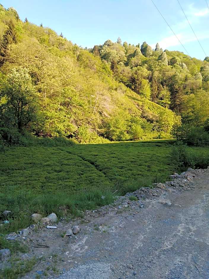 Zisto Apart Otel & Bungalows