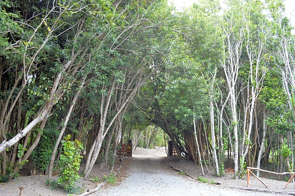 Cabañas Ensenada Bosque Nativo
