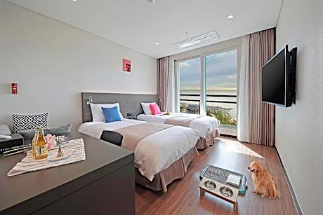 Premier Twin Pet Room - Park Ocean View with Terrace