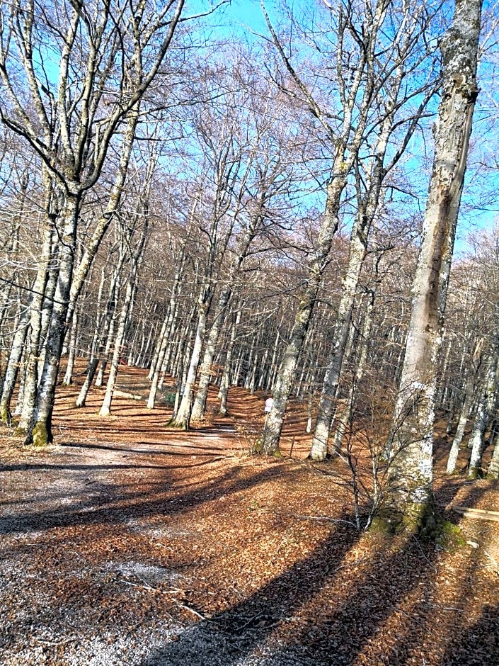 Il sasso bed & breakfast