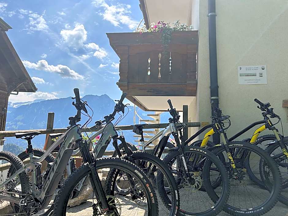 Hôtel Le Grand Chalet