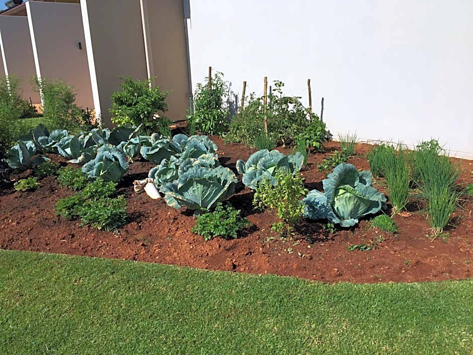 Esther's Country Lodge