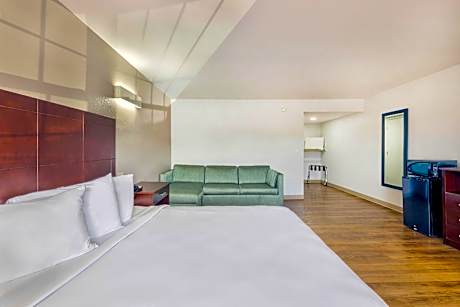 1 Full Bed | Suite, Non-Smoking, Sofa-Bed