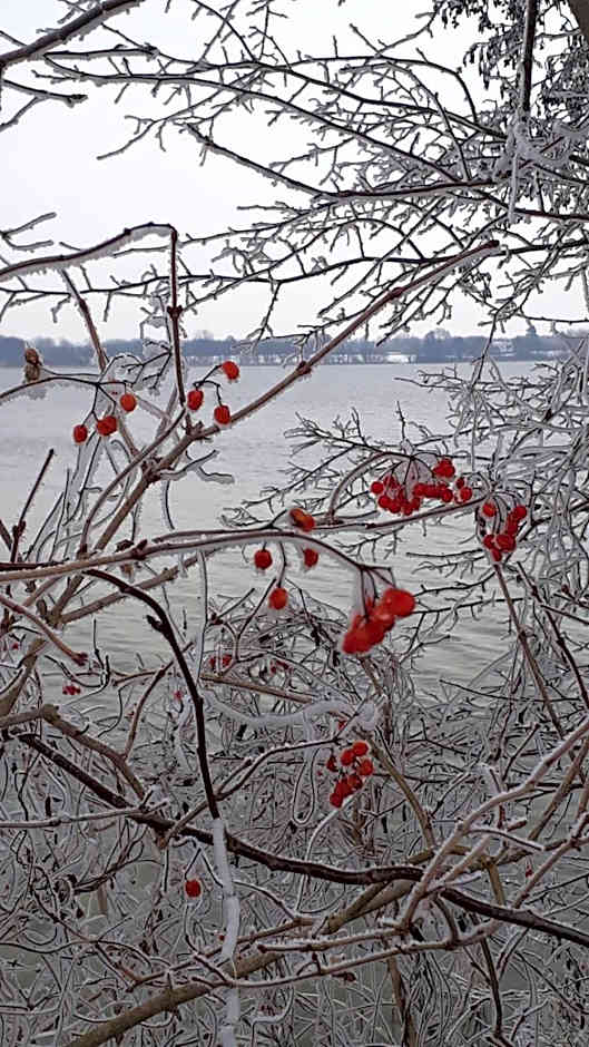 Landhaus am Schaalsee