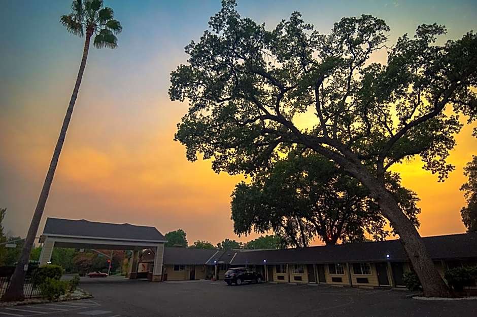 Safari Inn - Chico