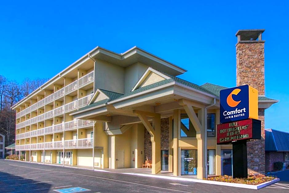 Comfort Inn & Suites At Dollywood Lane
