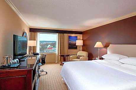 Guest room, 1 King, City view