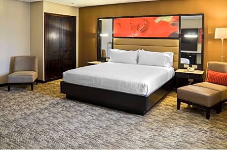 1 King Bed Junior Suite