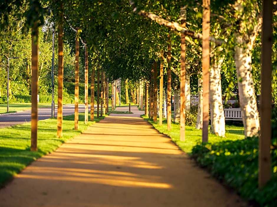 Drift Inn formerly the Waterfront Hotel