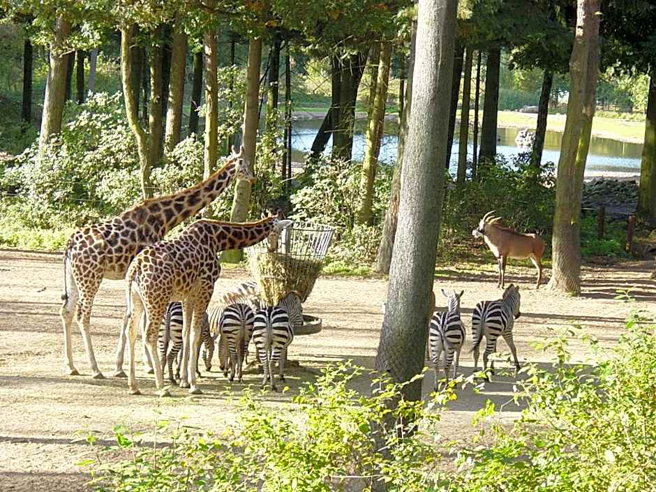 EuroParcs De Hooge Veluwe