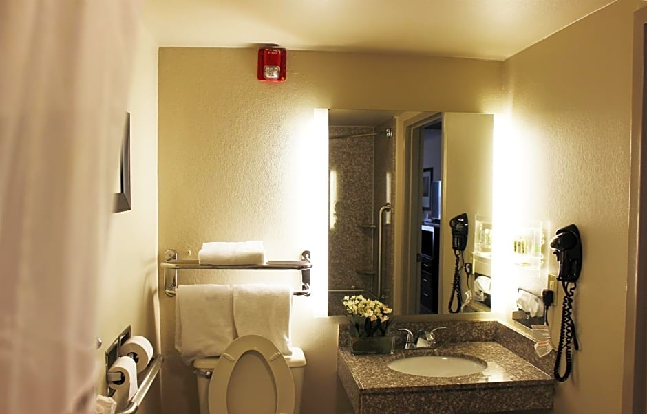 Holiday Inn Hotel Atlanta-Northlake By IHG