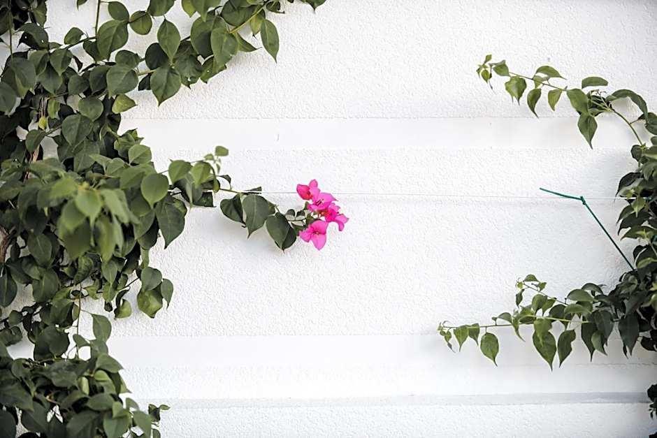Lot Boutique Hotel by Hotels and Preference
