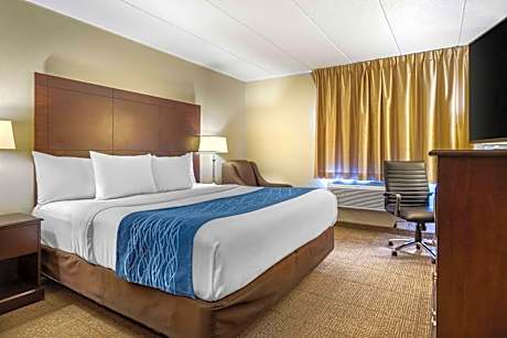 King Room - Non-Smoking