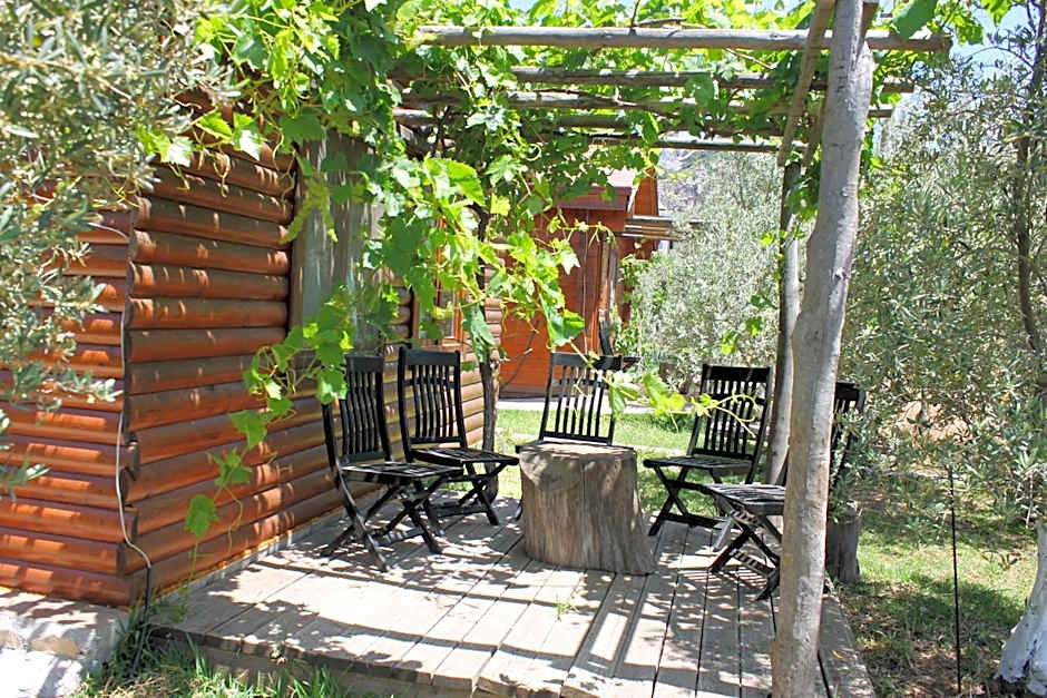 Sakin Vadi Winehouse