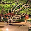 Hacienda Santa Cruz Merida