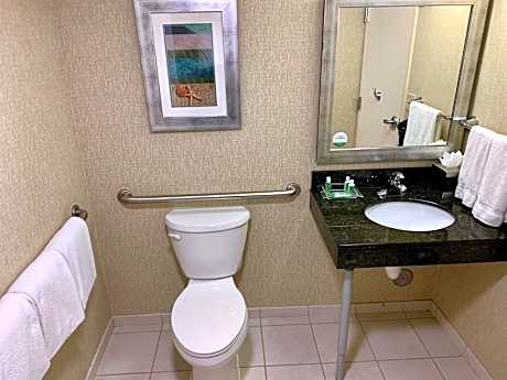Standard King Room - Mobility Accessible