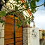 Aleysim Alaçatı-Design Als