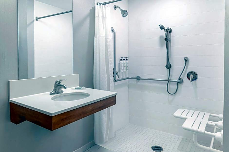 SpringHill Suites by Marriott Detroit Auburn Hills