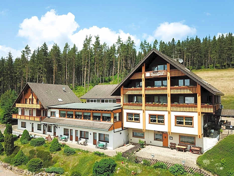 Auerhahn Bed and Breakfast - Black Forest - Waldhotel