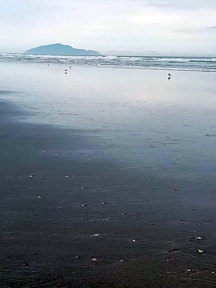 Manakau House The Old Manakau Hotel 1920