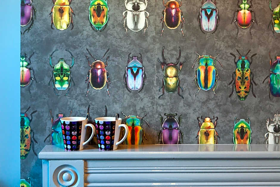 The View on the terrace