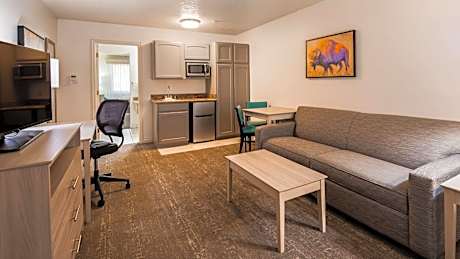 Suite-1 King Bed, Non-Smoking, Business Plus Room, Two Televisions, High Speed Internet Access, Micr