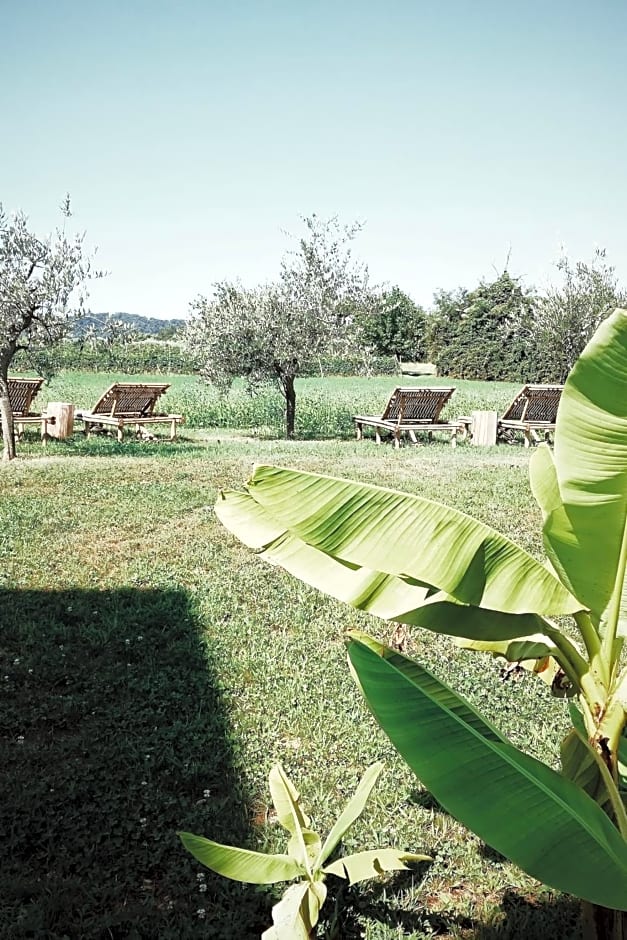 Bed & Breakfast IL PAJO