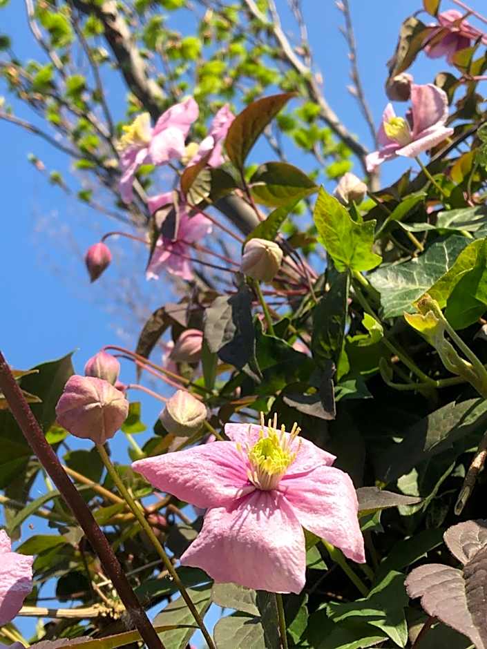 Bed & Breakfast Yerseke