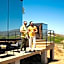 Bajo Estrellas Hotel Contemporáneo