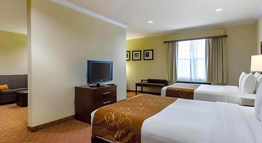 Comfort Suites Near Nasa - Clear Lake