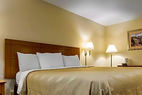 1 Queen Bed, Suite, Nonsmoking
