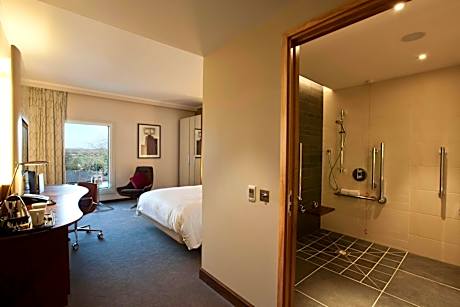 Executive Queen Room Accessible with Lounge Access