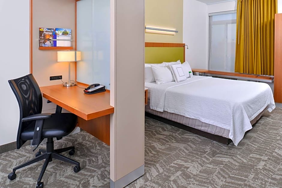 SpringHill Suites by Marriott Detroit Metro Airport Romulus