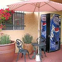 Magnolia Tree Hotel